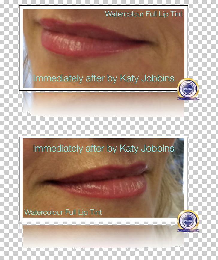 Lip Gloss Lipstick Eyelash PNG, Clipart, Cheek, Chin, Cosmetics, Eyebrow, Eyelash Free PNG Download