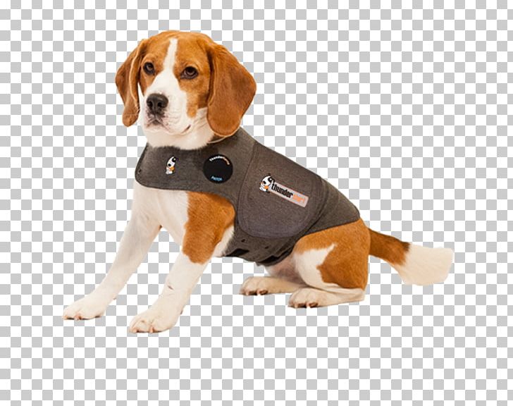 Thundershirt Dog Anxiety Pet Siberian Husky Separation Anxiety In Dogs ThunderWorks For Dogs And Cats PNG, Clipart, Anxiety, Beagle, Carnivoran, Clothing, Companion Dog Free PNG Download
