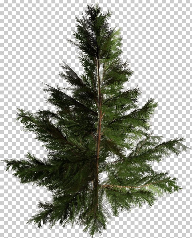 Artificial Christmas Tree Pine Pinales PNG, Clipart, Artificial Christmas Tree, Branch, Christmas Decoration, Christmas Lights, Cypress Family Free PNG Download