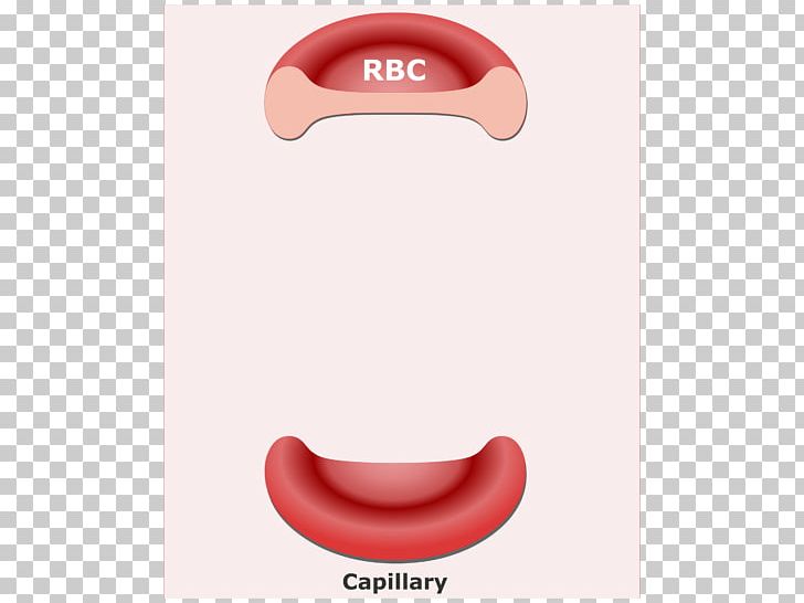 Red Blood Cell Carbon Dioxide PNG, Clipart, Bicarbonate, Blood, Blood Cell, Carbon Dioxide, Carbonic Acid Free PNG Download