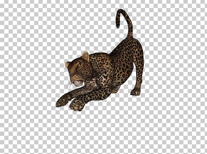 Leopard Cheetah Cougar Tiger Animal PNG, Clipart, Animal, Animal Figure, Big Cat, Big Cats, Blog Free PNG Download