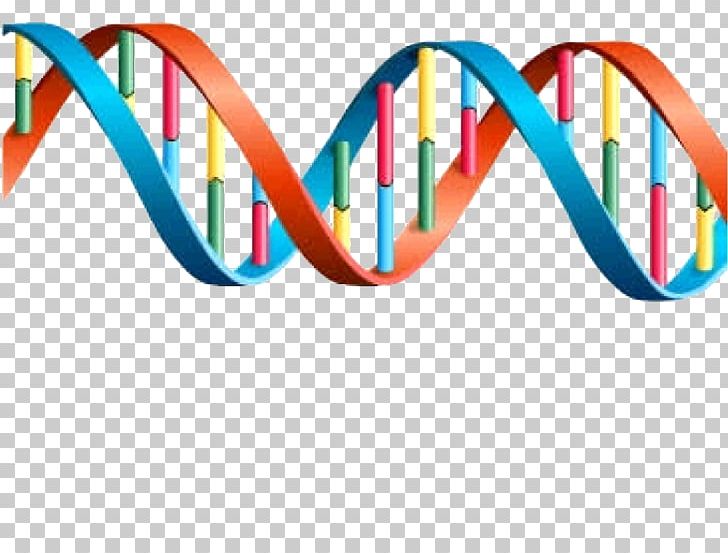 DNA Genetics Transcription Gene Expression PNG, Clipart, Area, Biology, Dna, Education Science, Eyewear Free PNG Download