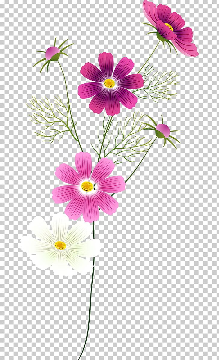Flower Floral Design Garden Wedding Spring PNG, Clipart, Annual Plant, Art, Cosmos, Cut Flowers, Daisy Family Free PNG Download