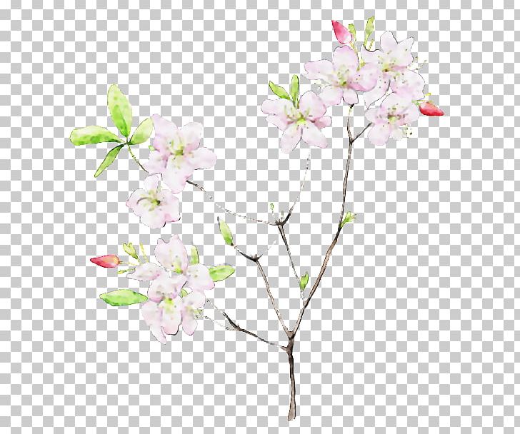 Flower Watercolor Painting Art PNG, Clipart, Architecture, Art, Blossom, Branch, Cherry Blossom Free PNG Download
