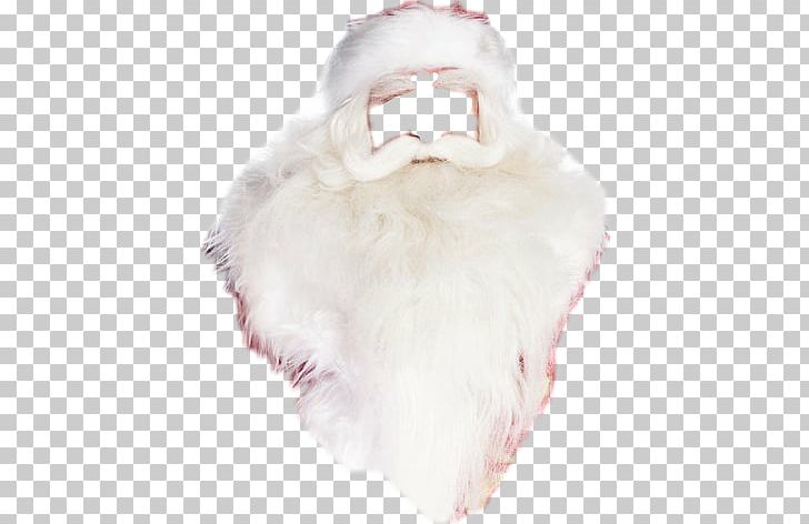 Fur Neck PNG, Clipart, Babay, Fur, Fur Clothing, Miscellaneous, Neck Free PNG Download