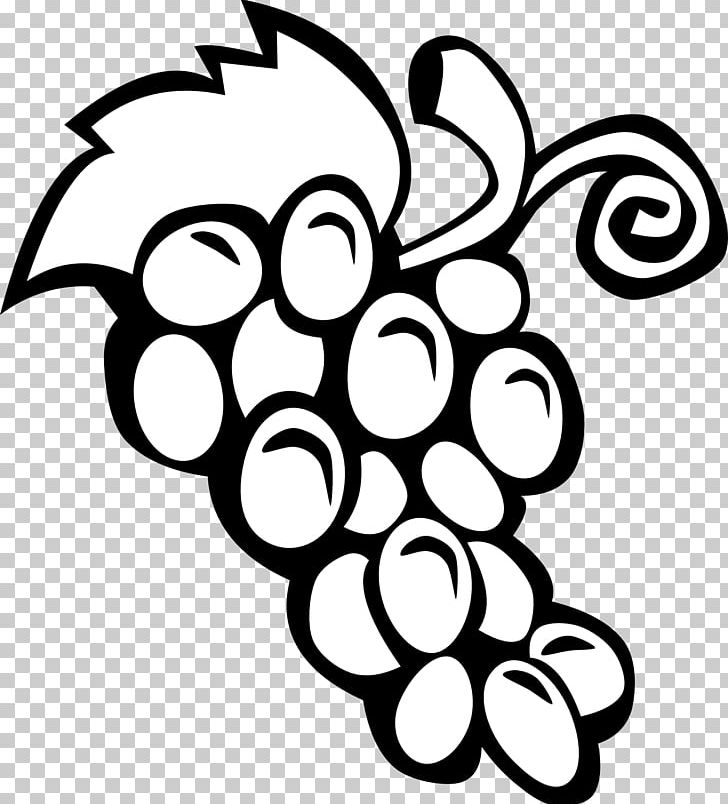Common Grape Vine Wine Fruit PNG, Clipart, Black, Black And White, Circle, Common Grape Vine, Flora Free PNG Download