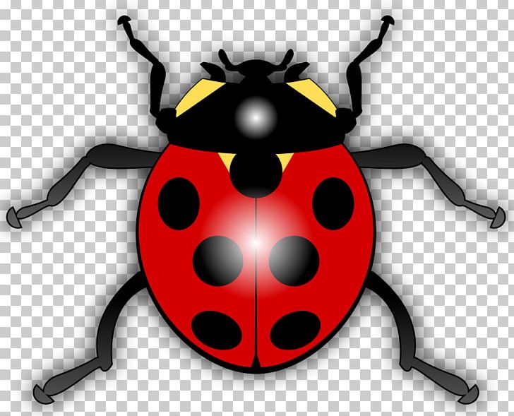 Ladybird Drawing PNG, Clipart, Arthropod, Beetle, Blog, Cartoon, Cartoon Cardinal Bird Free PNG Download