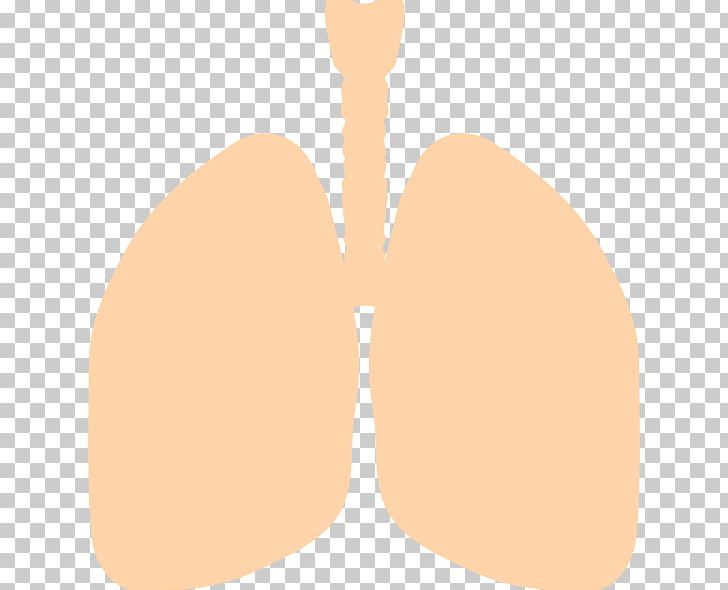Lung PNG, Clipart, Breathing, Bronchus, Ear, Finger, Free Content Free PNG Download