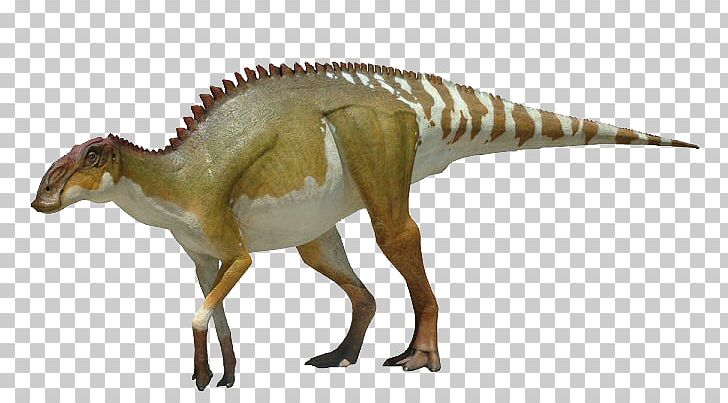 Edmontosaurus Brachylophosaurus Shantungosaurus Lambeosaurus Maiasaura PNG, Clipart, Animal Figure, Brachylophosaurus, Charles Mortram Sternberg, Daspletosaurus, Deinonychus Free PNG Download