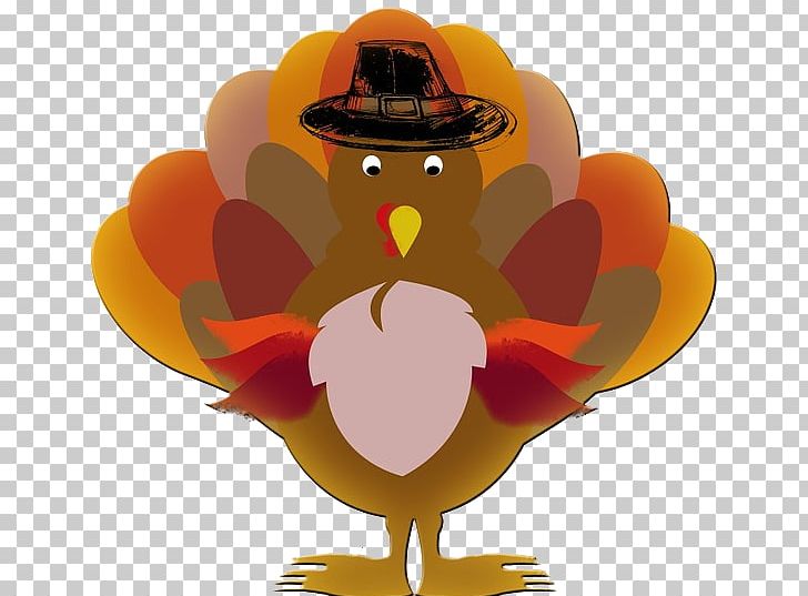 Thanksgiving Dinner Turkey Meat Holiday PNG, Clipart, Animals, Beak, Bird, Chicken, Domesticated Turkey Free PNG Download