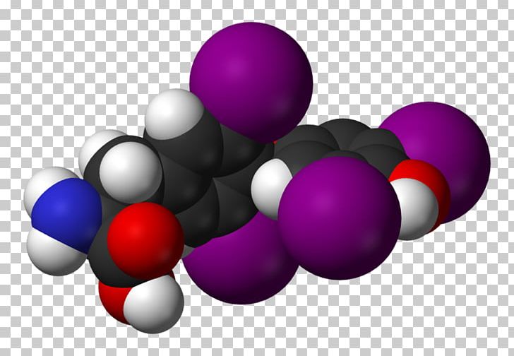 Thyroxine Thyroid Hormones Triiodothyronine PNG, Clipart, Androgen Prohormone, Ball, Blood, Circle, Gland Free PNG Download