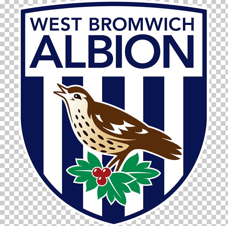 West Bromwich Albion F.C. The Hawthorns West Bromwich Albion PNG, Clipart, Advertising, Area, Artwork, Beak, Bird Free PNG Download