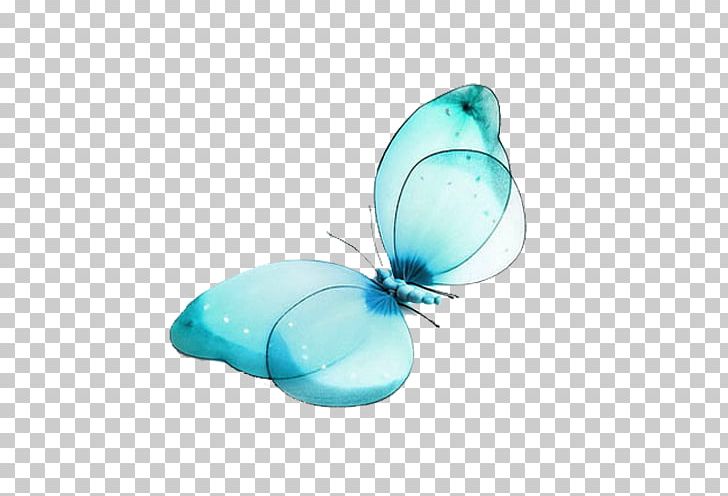 Butterfly High-definition Television PNG, Clipart, 720p, Android, Animal, Aqua, Aspect Ratio Free PNG Download