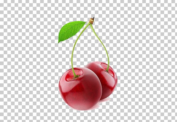 Sour Cherry Fruit Berry PNG, Clipart, Blackcurrant, Cherries, Cherry, Cherry Blossom, Cherry Blossom Tree Free PNG Download