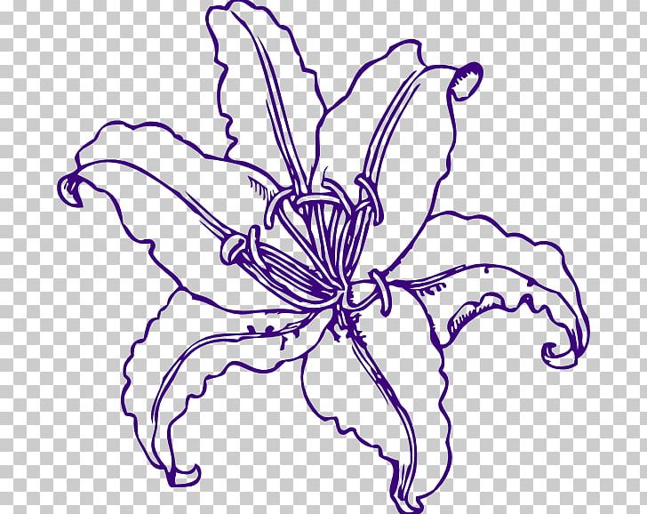 Coloring Book Easter Lily Tiger Lily Flower PNG, Clipart, Artwork, Arumlily, Black And White, Bud, Bulb Free PNG Download