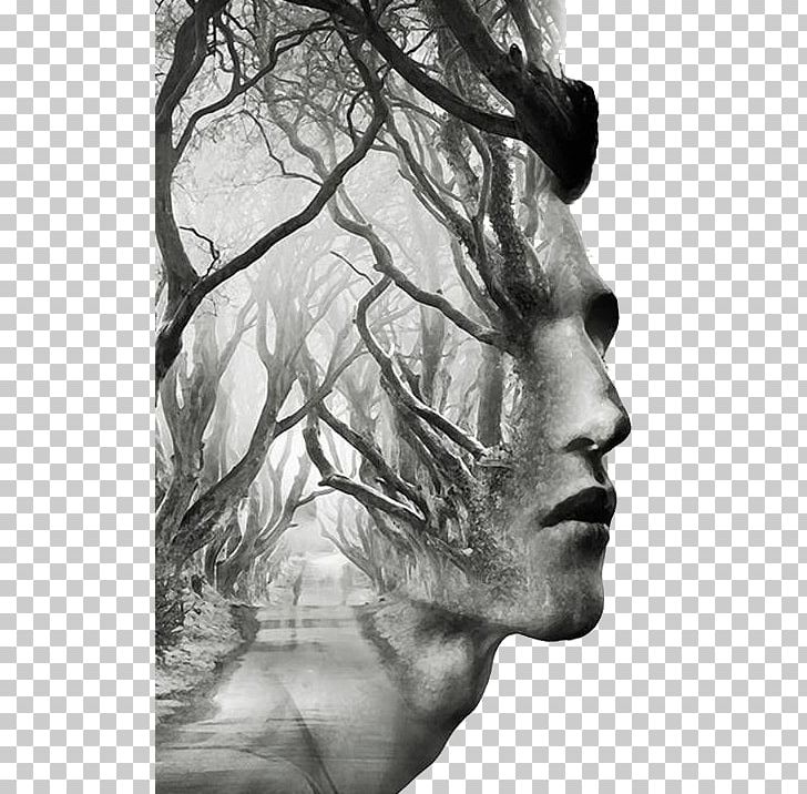 Dark Hedges Tree Art Multiple Exposure PNG, Clipart, Business Man, Creative Background, Environmental, Environmental Protection, Face Free PNG Download