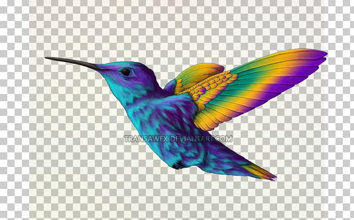 Hummingbird Beak Violet Feather PNG, Clipart, Animals, Beak, Bird, Closeup, Fauna Free PNG Download