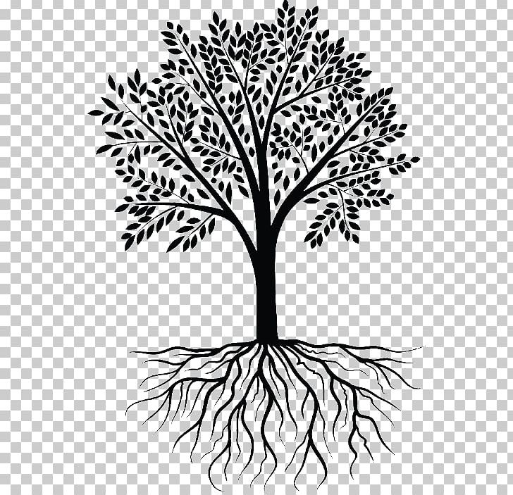 Root Graphics Tree Wall Decal PNG, Clipart, Black And White, Branch, Decal, Drawing, Flora Free PNG Download