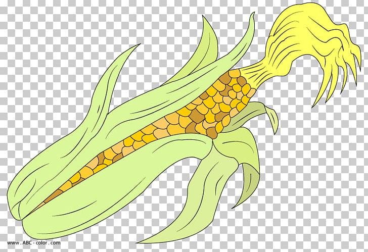 Illustration Drawing Maize Graphics PNG, Clipart, Brightly Colored Corn, Cartoon, Claw, Coloring Book, Commodity Free PNG Download