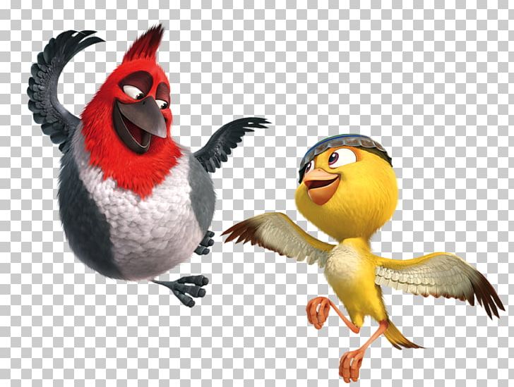 Jewel Blu Nigel Rio PNG, Clipart, 20th Century Fox, Beak, Bird, Blu, Cartoon Free PNG Download