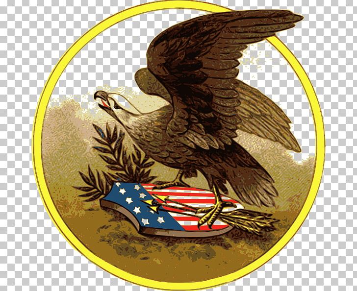 United States Bald Eagle Postcard PNG, Clipart, Accipitriformes, American Eagle, American Eagle Cliparts, Bald Eagle, Beak Free PNG Download