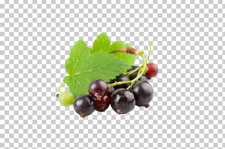 Juice Blackcurrant Frutti Di Bosco Flavor Aronia Melanocarpa PNG, Clipart, Bilberry, Blackcurrant, Blueberry, Blueberry, Blueberry Cake Free PNG Download