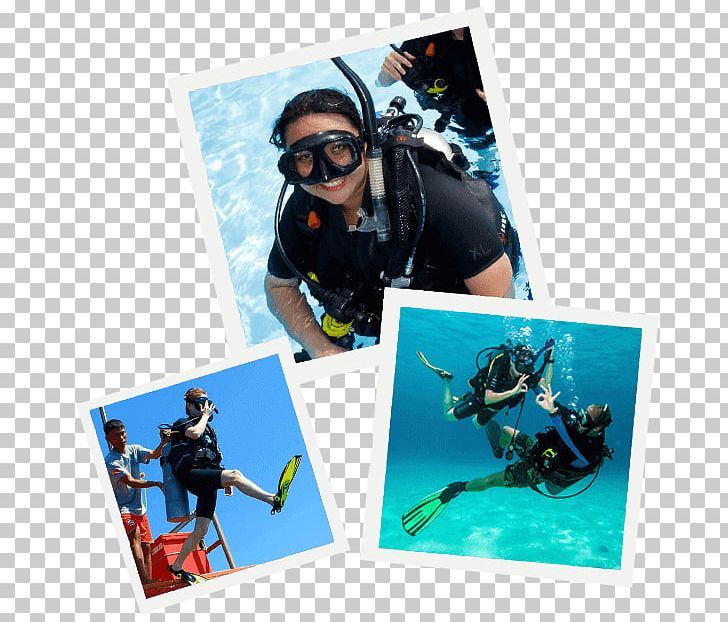 Pattaya Scuba Adventures Thailand Pattaya Dive Centre: PADI 5-Star IDC Scuba Diving Adventure Diving Professional Association Of Diving Instructors PNG, Clipart, Coral, Coral Reef, Dive Center, Others, Pattaya Free PNG Download