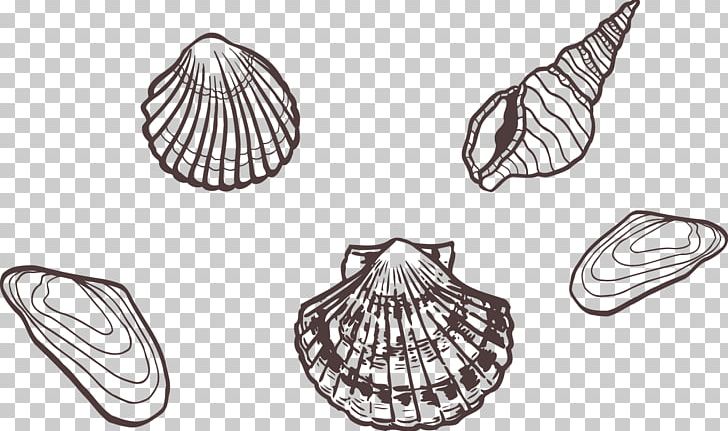 Sea Snail PNG, Clipart, Artwork, Artwork Vector, Black And White, Circle, Designer Free PNG Download