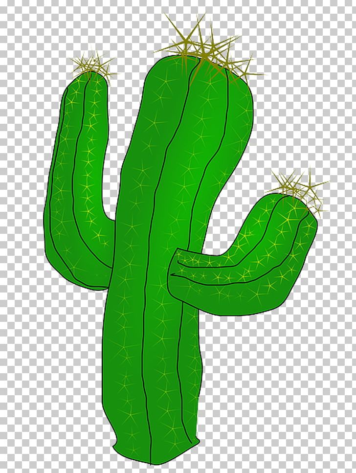 Succulents And Cactus Cactaceae Desert PNG, Clipart, Cactaceae, Cactus, Caryophyllales, Clip Art, Desert Free PNG Download