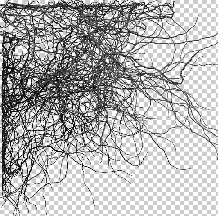 Branch Tree PNG, Clipart, Artwork, Black, Black And White, Branches, Christmas Tree Free PNG Download