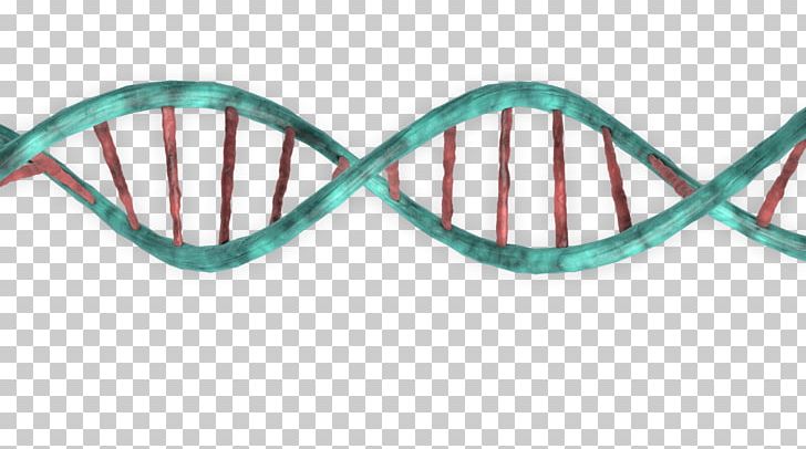 DNA PNG, Clipart, Dna Free PNG Download