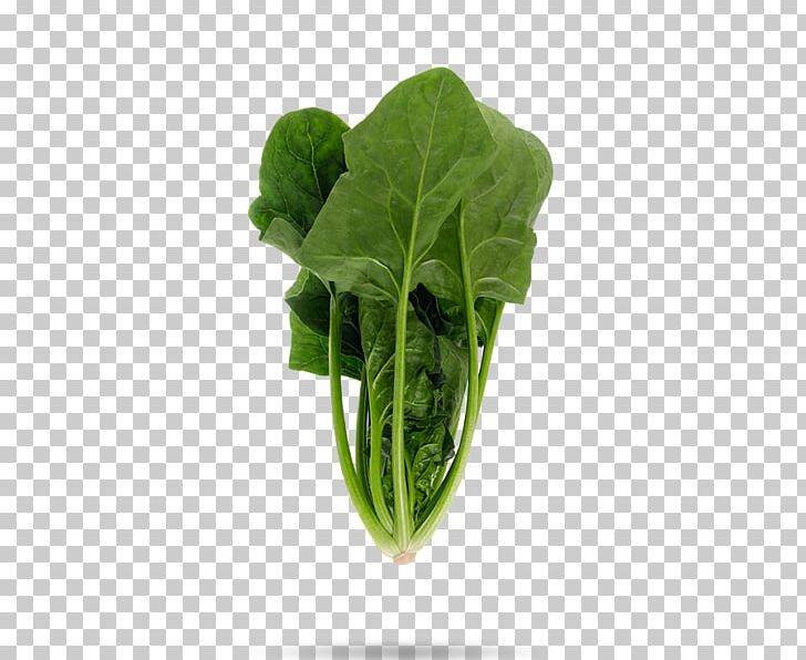 Spinach Leaf Vegetable Food Komatsuna PNG, Clipart, Cabbage, Chard, Choy Sum, Collard Greens, Cooking Free PNG Download