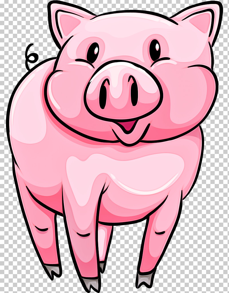 Cartoon Pink Snout Suidae Nose PNG, Clipart, Cartoon, Line, Nose, Pink, Snout Free PNG Download