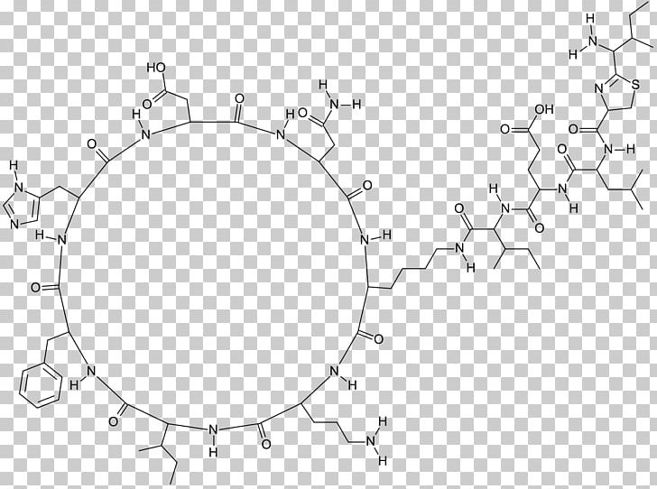 Bacitracin/polymyxin B Antibiotics Polypeptide Antibiotic Neomycin/polymyxin B/bacitracin PNG, Clipart, Angle, Antibiotics, Antimicrobial, Area, Bacillus Free PNG Download