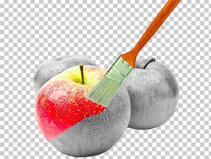 Creativity Creative Services Photography Art Advertising PNG, Clipart, Advertising, Apple, Apple Fruit, Art, Brush Free PNG Download