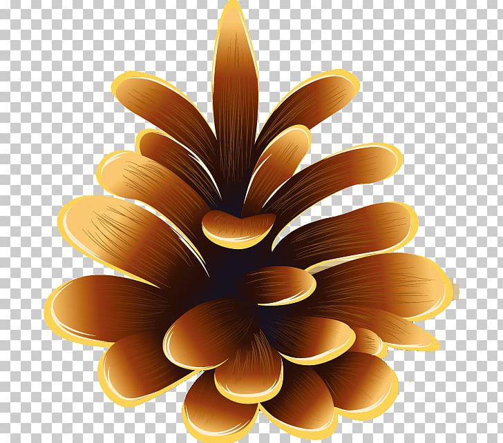 Sunflower M PNG, Clipart, Daisy Family, Fall Season, Flower, Petal, Sunflower Free PNG Download