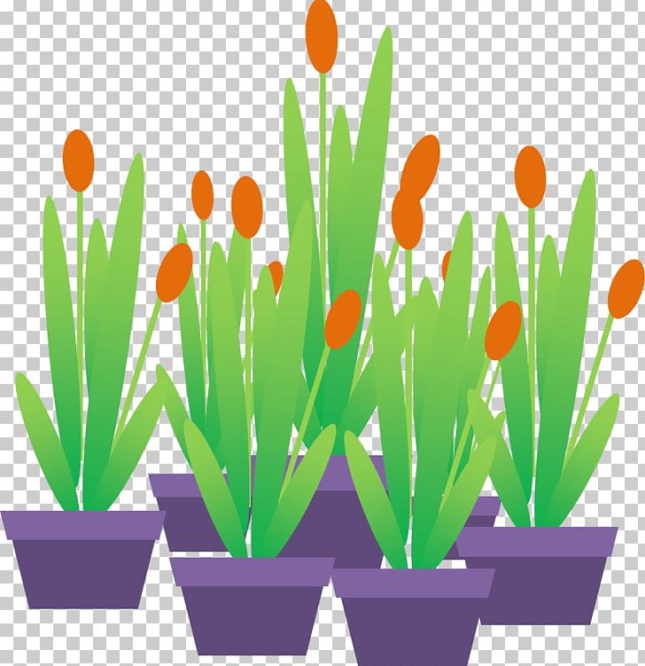 Animated Film Microsoft PowerPoint Tulip Ornamental Plant PNG, Clipart, Angry Birds Movie, Animated Film, Cartoon, Computer Wallpaper, Crocus Free PNG Download