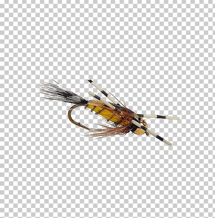 Artificial Fly Fly Fishing Worm Insect PNG, Clipart, Artificial Fly, B H Photo Video, Feather, Fishing, Fly Free PNG Download