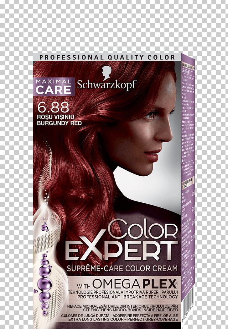 Hair Coloring Schwarzkopf Human Hair Color PNG, Clipart, Black, Black Hair,  Blond, Brown Hair, Burgundy Free