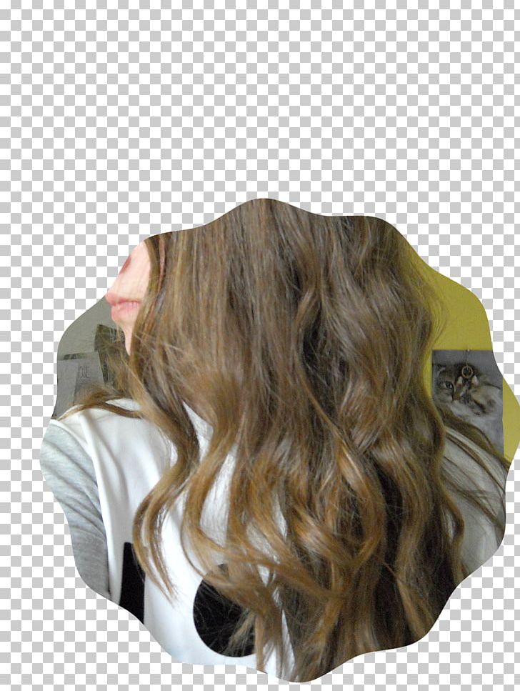 Long Hair Brown Hair Wood PNG, Clipart, Brown, Brown Hair, Curl, Hair, Hair Coloring Free PNG Download