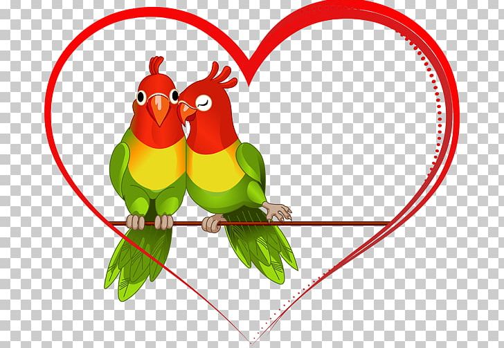 Lovebird Parrot PNG, Clipart, Area, Beak, Bird, Chicken, Fauna Free PNG Download