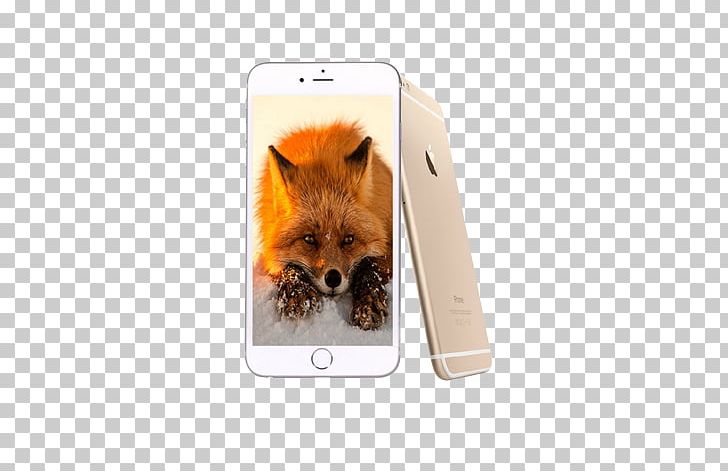 IPhone 6 Smartphone PNG, Clipart, Carnivoran, Cell Phone, Digital, Dog Breed Group, Dog Like Mammal Free PNG Download