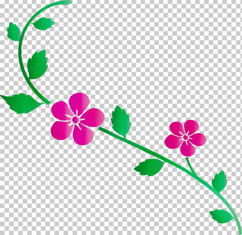 Flower Plant Pink Pedicel Plant Stem PNG, Clipart, Decoration Frame, Flower, Flower Frame, Geranium, Paint Free PNG Download
