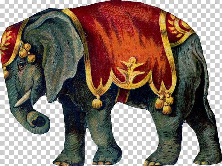 Circus Elephant PNG, Clipart, Carnival, Cartoon Circus, Cattle Like Mammal, Circus, Circus Animals Free PNG Download