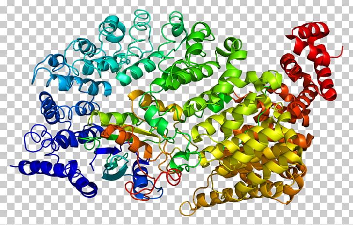 Transportin 1 Protein UniProt Wikipedia PNG, Clipart, Area, Gene, Gfdl, Graphic Design, Line Free PNG Download