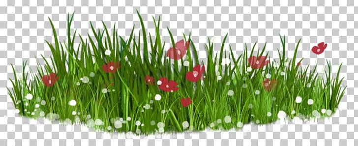 Flower Lawn PNG, Clipart, Art, Background Green, Clip Art, Digital Image, Flower Free PNG Download