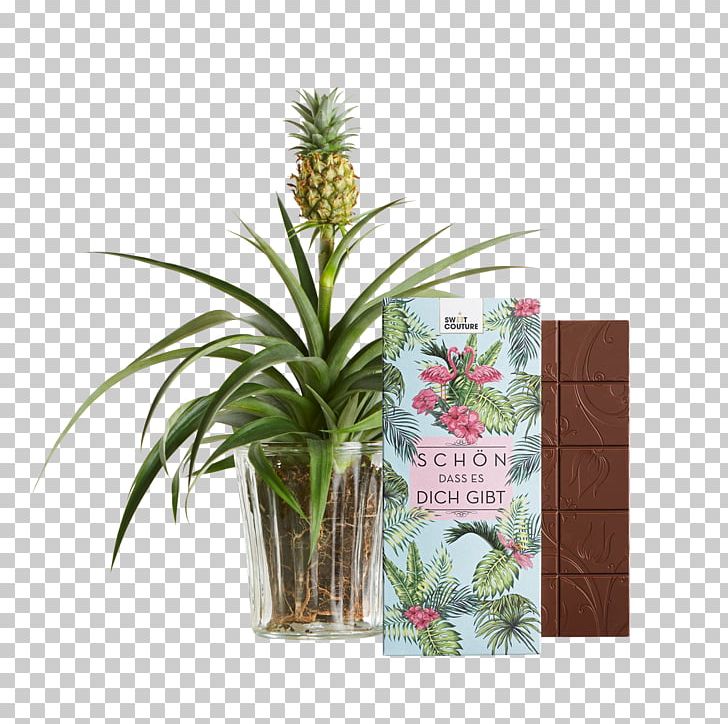 Pineapple Juice Embryophyta Sweet And Sour Bromeliads PNG, Clipart, Aechmea, Auglis, Bromelain, Bromeliads, Champak Free PNG Download