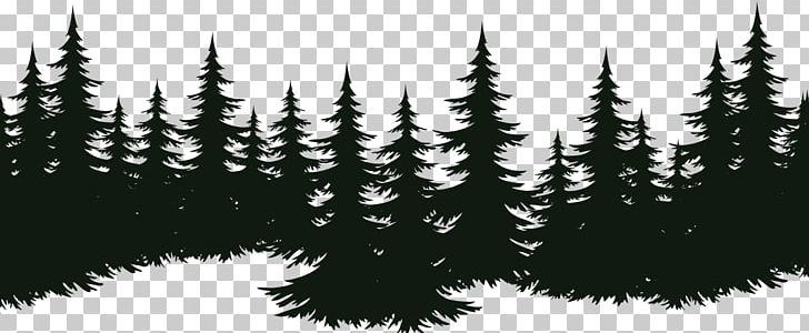 Spruce Fir Tree Pine Evergreen PNG, Clipart, Black And White, Branch, Conifer, Door, Embroidery Free PNG Download