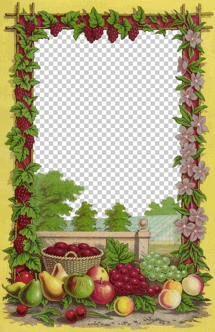 Fruit Frames Seed PNG, Clipart, Antique, Blackberry, Borders, Clip Art, Download Free PNG Download