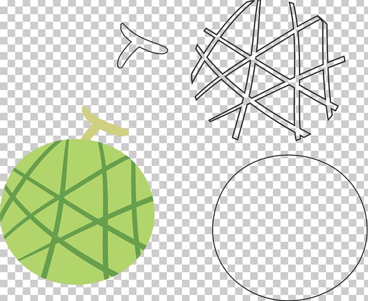 Muskmelon Molde Fruit Matrijs PNG, Clipart, Angle, Area, Auglis, Carambola, Circle Free PNG Download
